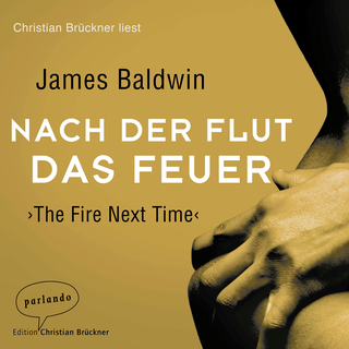 Hörbuchcover von Nach der Flut das Feuer