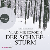 Hörbuchcover von Der Schneesturm von Vladimir Sorokin