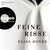 Feine Risse