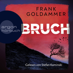 Hörbuchcover von Bruch: Ein dunkler Ort von Frank Goldammer, wird gesprochen von Stefan Kaminski