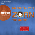 Hörbuchcover von Zorn – Wie du mir: Thriller von Stephan Ludwig, wird gesprochen von David Nathan