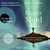 Higher Mind. Die Gesetze des Bewusstseins