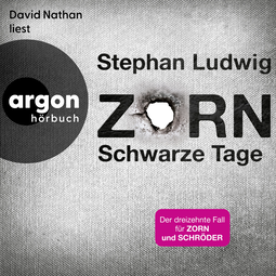 Hörbuchcover von Zorn – Schwarze Tage: Thriller von Stephan Ludwig, wird gesprochen von David Nathan