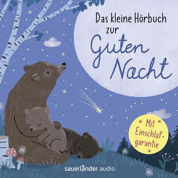 Hörbuchcover von Das kleine Hörbuch zur Guten Nacht von Stijn Moekaars, Mascha Kaléko, Theodor Storm, Christian Morgenstern, Gina Ruck-Pauquèt, Ulrich Steier, Prof. Dr. Fredrik Vahle, Heinrich Hannover, wird gesprochen von Petra Kelling, Martin Seifert, Ilka Teichmüller, Gerd Wameling