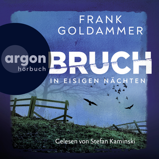 Hörbuchcover von Bruch: In eisigen Nächten