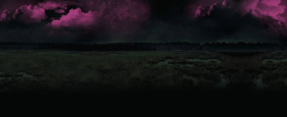 Andreas Winkelmann: Moorland. Die Braut