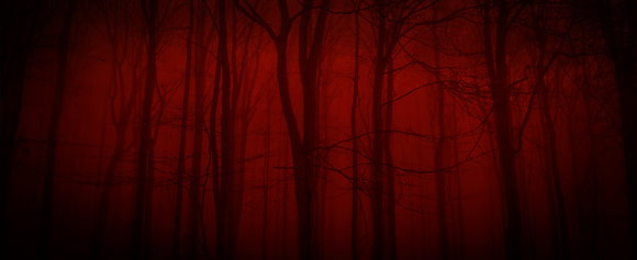 Foto eines dunklen Waldes, rot eingefärbt