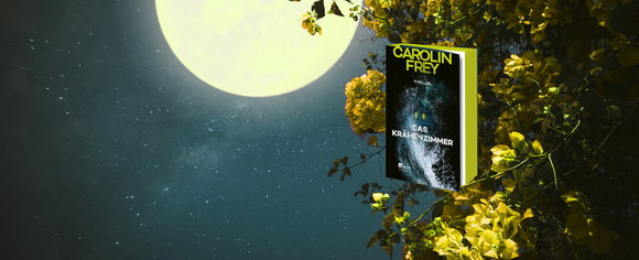Nächtliches Banner mit Vollmond, gelb blühenden Zweigen und dem Buchcover von „Das Krähenzimmer“ von Carolin Frey.