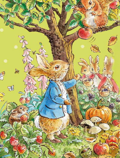 Bücher von Peter Hase