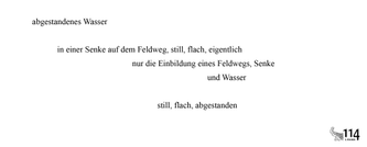 114 Lyrik Oleschinski