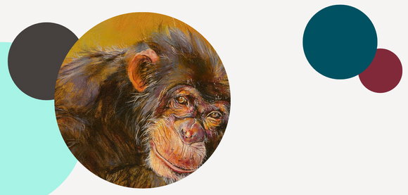 John Ironmonger im Interview über sein neues Buch »Die Insel der Schimpansen«