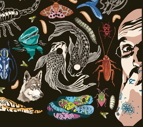 Kat Menschiks und des Diplom-Biologen Doctor Rerum Medicinalium Mark Beneckes Illustrirtes Thierleben