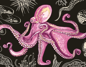 Benecke_Menschik_Thierleben_Oktopus