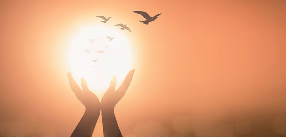 Hände über der Sonne mit Vögeln