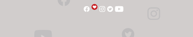 Presse & Influencer*innen