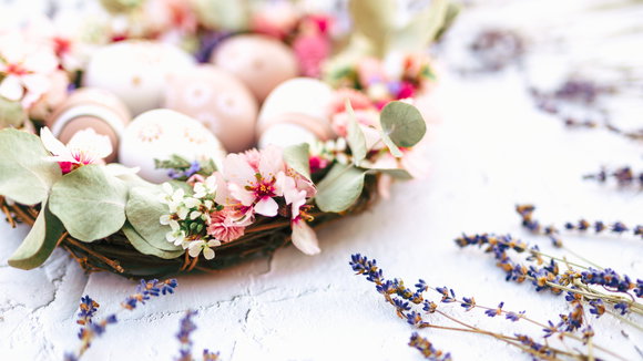 Der Osterhase klopft! - Last Minute Oster Tipps