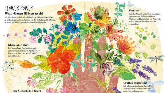 Der große Blütenzauber - zauberhaftes Blumenwissen