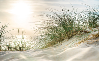 Düne mit Gras