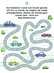 in_40_raetseln_sind_wir_da_autofahrt