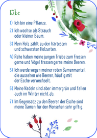 kennst_du_den_winter