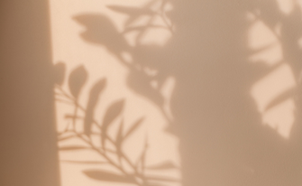 Schatten von Pflanzen an einer warm-leuchtenden Wand