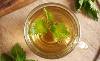 Teetasse mit Brennesseltee auf einem Holztisch