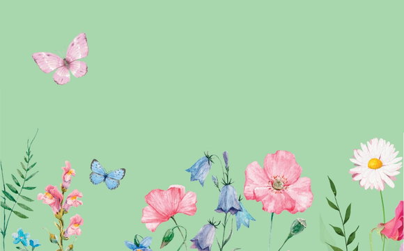 Illustrierte Frühlingsblumen und Schmetterlinge auf einem hellgrünen Untergrund