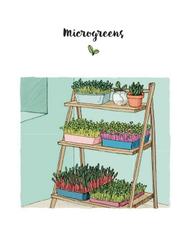 Bild von verschiedenen Töpfen/Gefäßen voller Microgreens auf einem Regal, Überschrift "Microgreens"