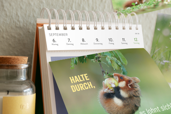 Tischkalender mit Spiralbindung für September, Postkarte mit Feldhamster-Motiv und Spruch 'Halte durch'.