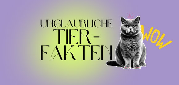 5 Tierfakten, die selbst einen Tierarzt überraschen & ein Krimi
