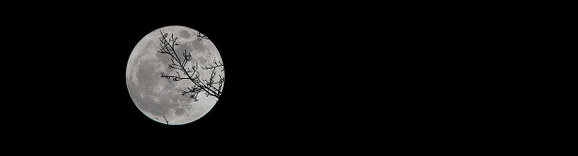 Horrorliteratur: Alles was du über das Genre wissen musst (Teil 2/3)