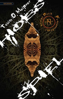 Buchcover von Hiobs Spiel