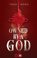 Buchcover von Owned by a God