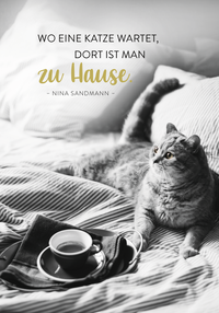 Zusatzmaterial PA 4036442014431 innen 014 von Buchkalender 2027: Für Katzenfreunde
