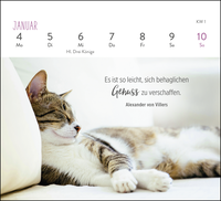 Zusatzmaterial PA 4036442014301 innen 011 von Mini-Wochenkalender 2027: Für Katzenfreunde