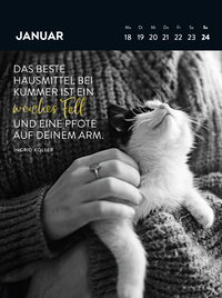 Zusatzmaterial PA 4036442014783 innen 013 von Wochenkalender 2027: Goldene Katzenweisheiten für jeden Tag