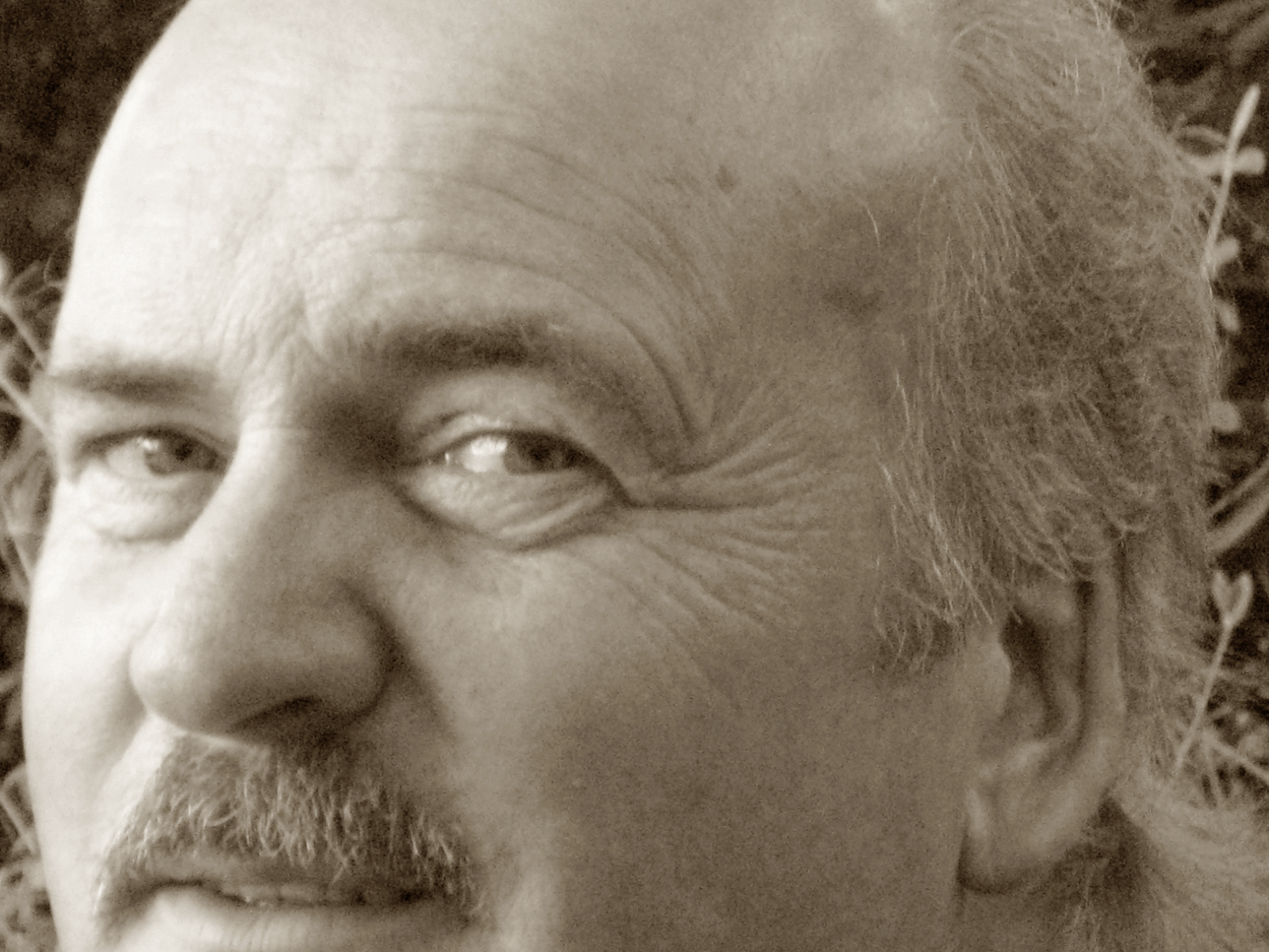 Portrait von L. U. Ulder