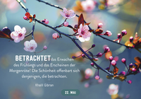 Zusatzmaterial PA 978 3 629 00986 9 innen 012 von 365 gute Wünsche