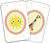 Zusatzmaterial PA 4260308346057 innen 014 von Mein kleiner Blumengarten: Ein Kartenspiel für die ganze Familie von Anika Gehrmann