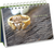 Zusatzmaterial PA 978 3 629 00659 2 innen 012 von 365 Irische Segenswünsche