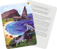 Zusatzmaterial PA 4036442013021 innen 016 von Meditationskarten: Meine innere Reise: 55 Karten zum Träumen und Entspannen von Alison Davies, Amy Grimes