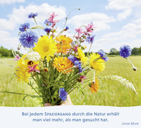 Zusatzmaterial PA 978 3 8485 0215 8 innen 013 von Glückspausen für den Alltag