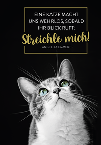 Zusatzmaterial PA 4036442014431 innen 013 von Buchkalender 2027: Für Katzenfreunde