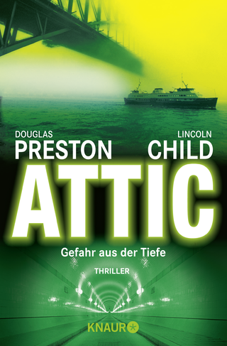 Buchcover von Attic