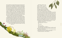 Zusatzmaterial PA 978 3 8485 0370 4 innen 012 von Magie des Waldes: Geschichten, Märchen und Mythen aus einer verwunschenen Welt von Kasia Sierpiński