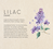 Zusatzmaterial U2 978 3 426 52862 4 von A Place to Grow: Roman von Lilly Lucas