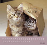 Zusatzmaterial PA 4036442014660 innen 011 von Wandkalender 2027: Für Katzenfreunde