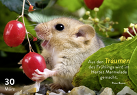 Zusatzmaterial PA 978 3 629 01093 3 innen 013 von 365 mal tierisch gut drauf! von Claus Schmidt c/o Animal Press