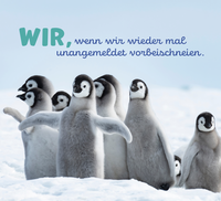 Zusatzmaterial PA 978 3 8485 0361 2 innen 011 von Tierisch happy jeden Tag von Paulus Vennebusch