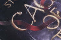 Zusatzmaterial PA 978 3 426 56475 2 detail 036 von Cage of the Moon: Roman von Noah Stoffers